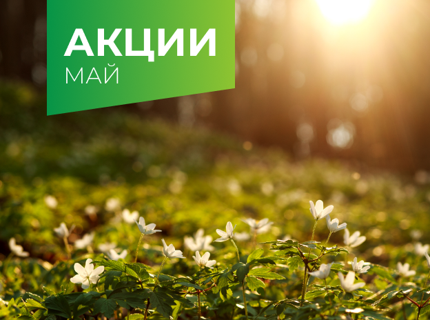 Акции и предложения мая