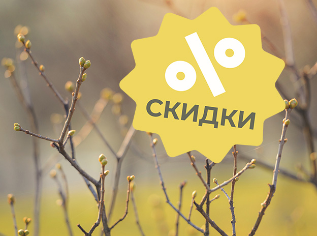 Выгодные предложения в апреле